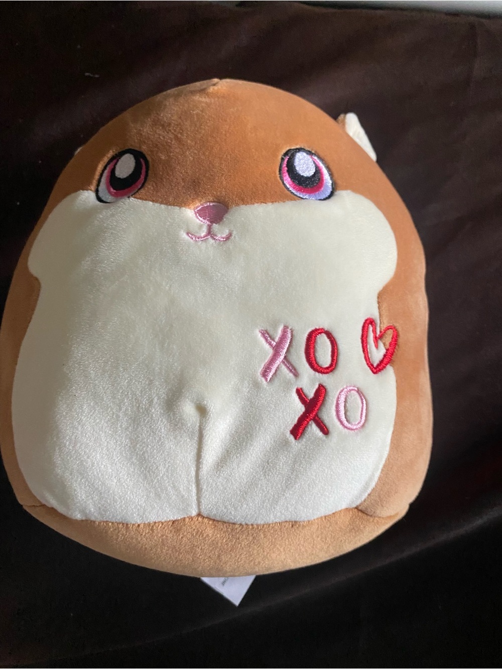 Squishmallows Brown & Cream Hamster Plush with Pink Embroidery